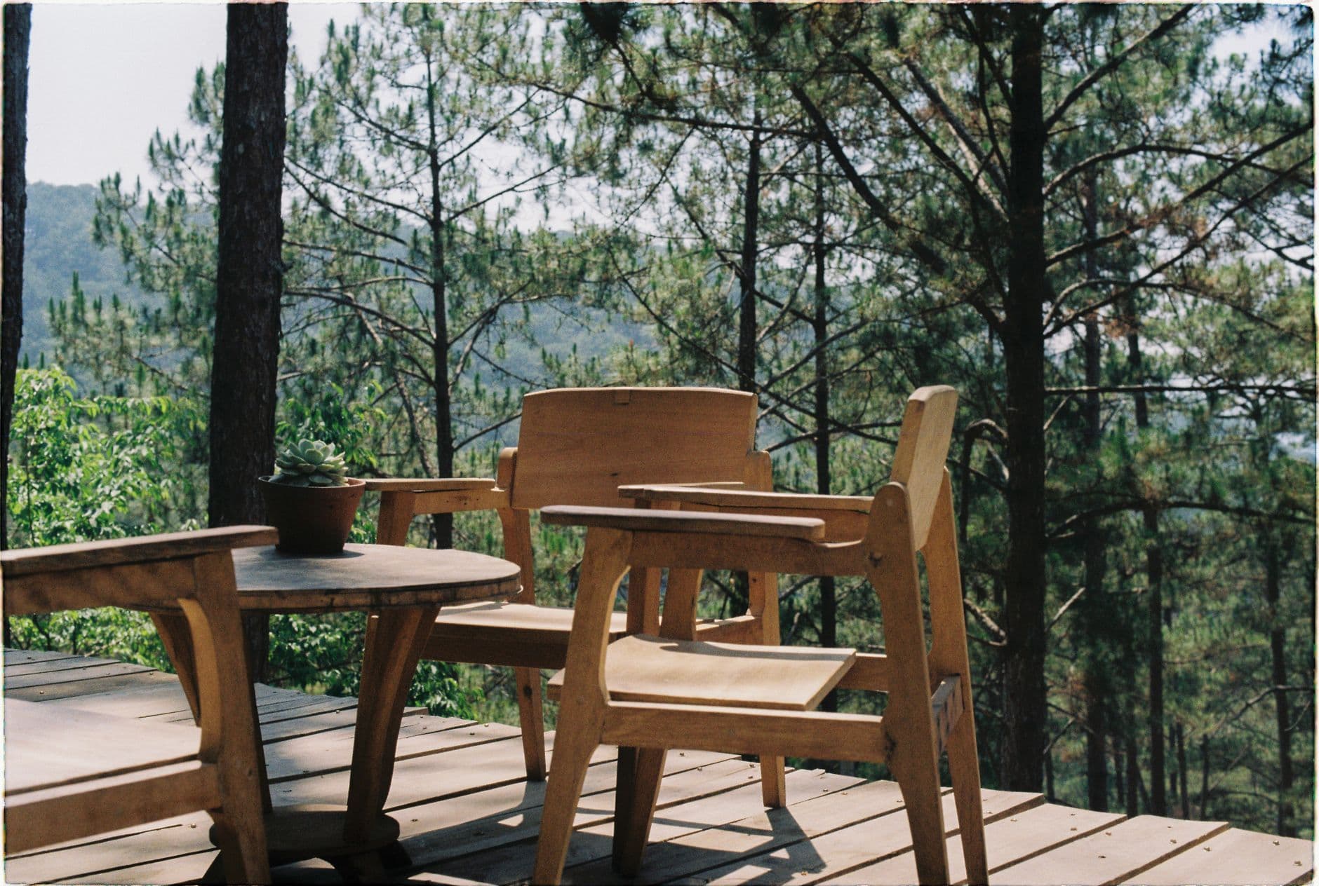 Decking & Pergolas in Box Hill