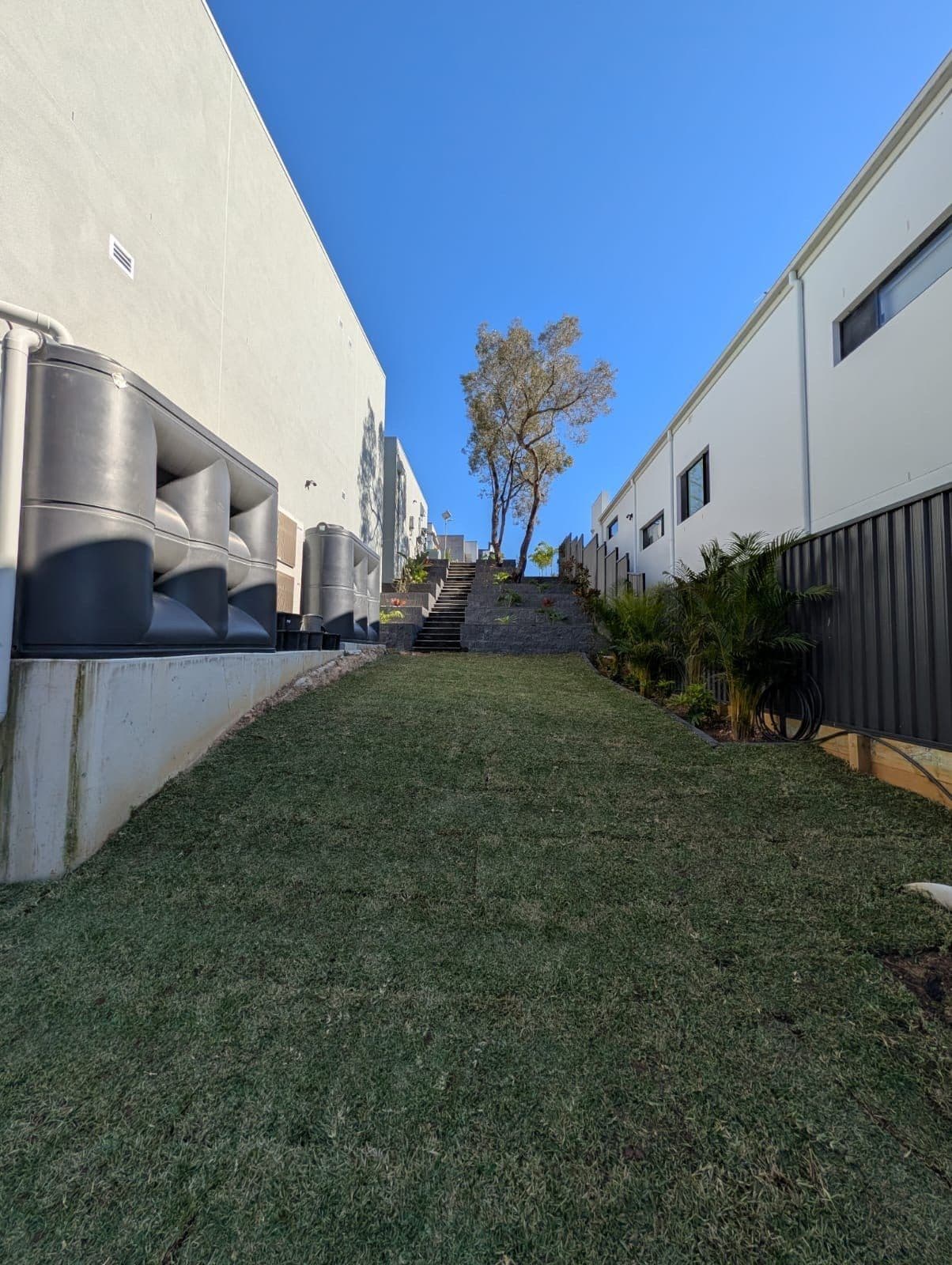 Landscaping in the Hills District, What the Ground Here Demands